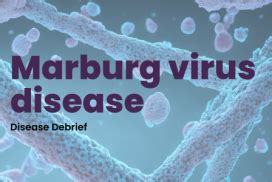 marburg hermes|Marburg virus disease .